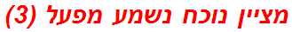 מציין נוכח נשמע מפעל (3)