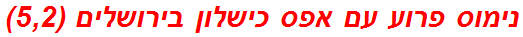 נימוס פרוע עם אפס כישלון בירושלים (5,2)