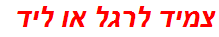צמיד לרגל או ליד