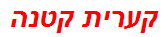 קערית קטנה