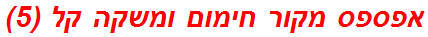 אפספס מקור חימום ומשקה קל (5)