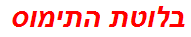 בלוטת התימוס