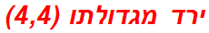 ירד מגדולתו (4,4)