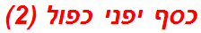 כסף יפני כפול (2)