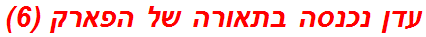 עדן נכנסה בתאורה של הפארק (6)