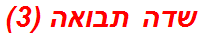 שדה תבואה (3)