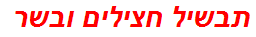 תבשיל חצילים ובשר