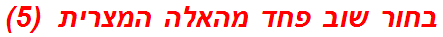 בחור שוב פחד מהאלה המצרית  (5)