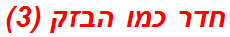 חדר כמו הבזק (3)