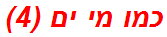 כמו מי ים (4)