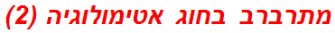 מתרברב בחוג אטימולוגיה (2)