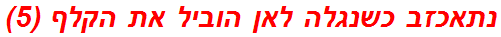 נתאכזב כשנגלה לאן הוביל את הקלף (5)