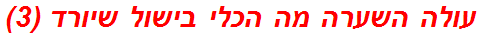 עולה השערה מה הכלי בישול שיורד (3)