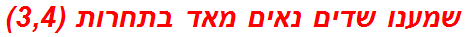 שמענו שדים נאים מאד בתחרות (3,4)