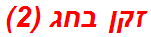 זקן בחג (2)
