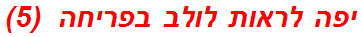יפה לראות לולב בפריחה  (5)