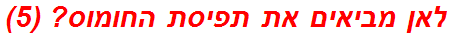 לאן מביאים את תפיסת החומוס? (5)