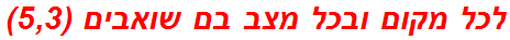 לכל מקום ובכל מצב בם שואבים (5,3)