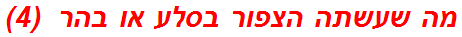 מה שעשתה הצפור בסלע או בהר  (4)