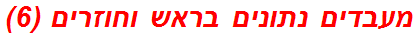 מעבדים נתונים בראש וחוזרים (6)