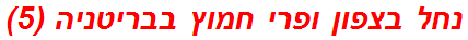 נחל בצפון ופרי חמוץ בבריטניה (5)