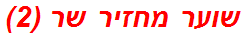 שוער מחזיר שר (2)