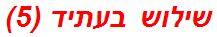 שילוש בעתיד (5)