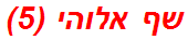 שף אלוהי (5)