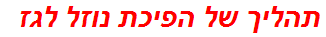 תהליך של הפיכת נוזל לגז