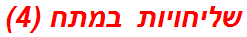 שליחויות במתח (4)