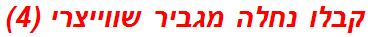 קבלו נחלה מגביר שווייצרי (4)