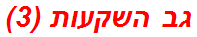 גב השקעות (3)
