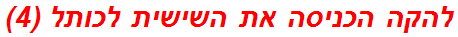 להקה הכניסה את השישית לכותל (4)