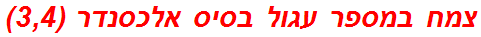 צמח במספר עגול בסיס אלכסנדר (3,4)