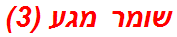 שומר מגע (3)
