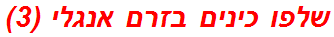 שלפו כינים בזרם אנגלי (3)