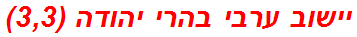 יישוב ערבי בהרי יהודה (3,3)