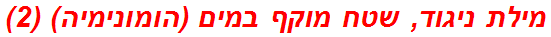 מילת ניגוד, שטח מוקף במים (הומונימיה) (2)