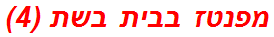 מפנטז בבית בשת (4)