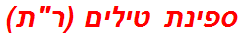 ספינת טילים (רת)