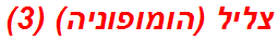 צליל (הומופוניה) (3)