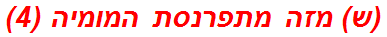 (ש) מזה מתפרנסת המומיה (4)