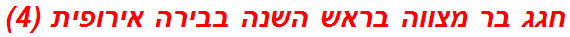 חגג בר מצווה בראש השנה בבירה אירופית (4)