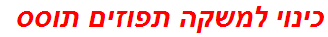 כינוי למשקה תפוזים תוסס