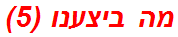 מה ביצענו (5)