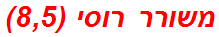 משורר רוסי (8,5)