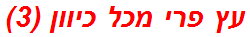 עץ פרי מכל כיוון (3)