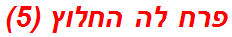פרח לה החלוץ (5)