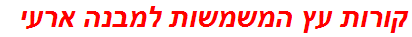 קורות עץ המשמשות למבנה ארעי