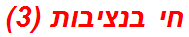 חי בנציבות (3)